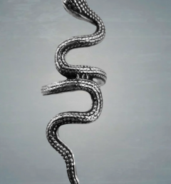 пръстен дълга змия 20