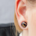 31564