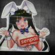 13_____12-removebg-preview.png