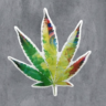 IMG_20231028_132457-removebg-preview.png