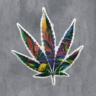 IMG_20231028_132503-removebg-preview.png