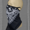 70594.png